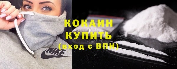 трава Коряжма