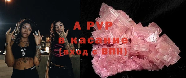 трава Коряжма