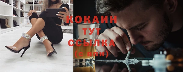трава Коряжма