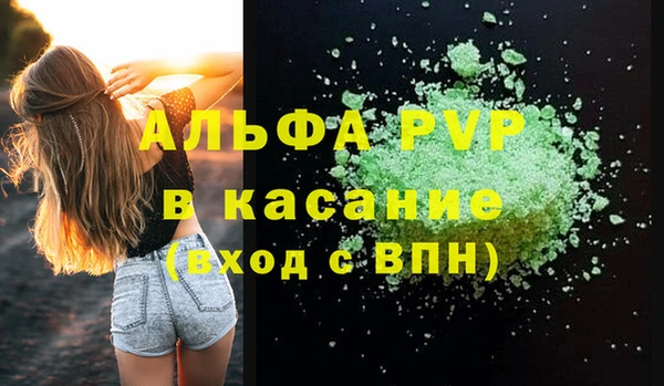 трава Коряжма