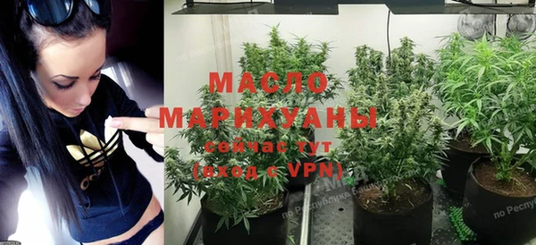 трава Коряжма