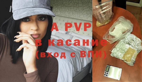 трава Коряжма