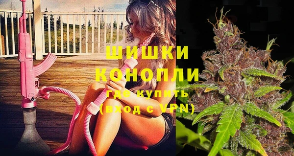 крисы Козловка
