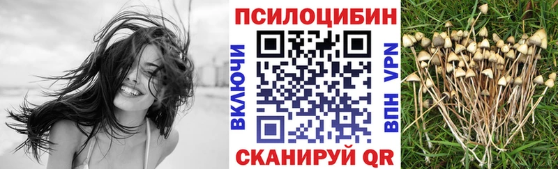 Псилоцибиновые грибы MAGIC MUSHROOMS  даркнет формула  Красный Сулин 